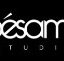 Snip amp Style Hairstylers - Sydney Hairdressers