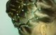 Princess For A Day Hairstyles - thumb 4