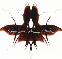 Style amp Beauty Within - Sydney Hairdressers