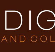Indigo Cut and Colour - Sydney Hairdressers