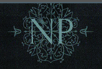 Network Productions