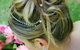 Janets Complete Beauty - thumb 2